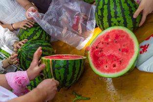 花钱吃瓜视频,揭秘花钱看热闹的潮流