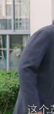 电视剧罪犯吃瓜视频播放,揭秘电视剧中的另类娱乐现象