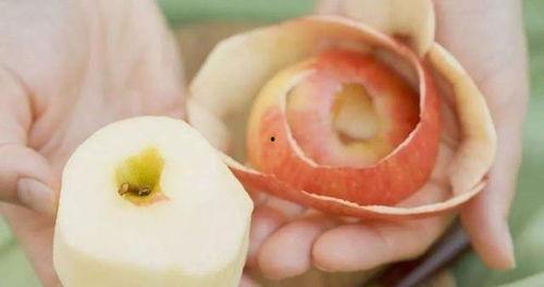 梨瓜要削皮吃吗视频讲解,视频讲解带你轻松享用