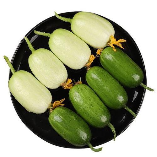 腐儒瓜怎么吃最好吃视频,视频教你最佳食用方法