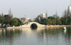 芜湖镜湖公园吃瓜视频网,一场吃瓜群众的欢乐盛宴