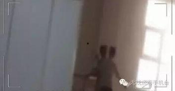 走廊打架吃瓜视频大全集