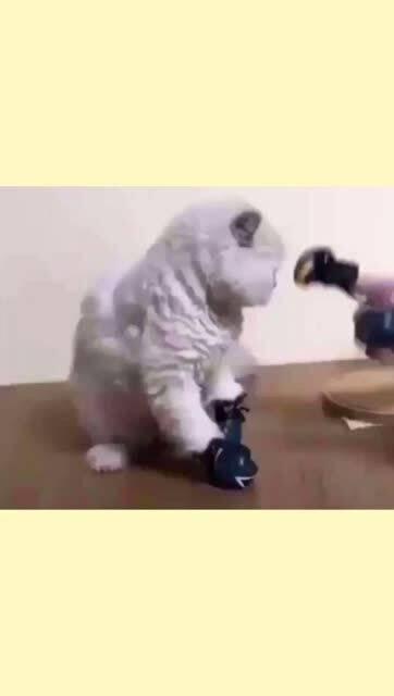 吃瓜挨揍视频素材高清,吃瓜群众遭遇暴力冲击，网络暴力现象引发社会关注