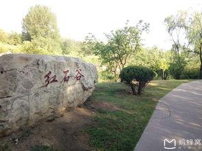 莱芜公园吃瓜事件视频播放