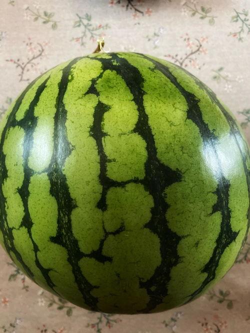 吃瓜动作表演视频教程