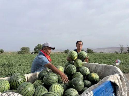 广州白云区吃瓜事件视频