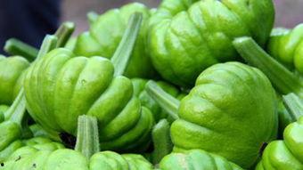 姜柄瓜如何吃才好吃视频,视频教你如何吃出最佳口感