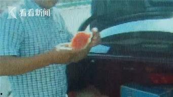 网友吃瓜惊讶视频大全,视频大全揭秘娱乐圈幕后真相