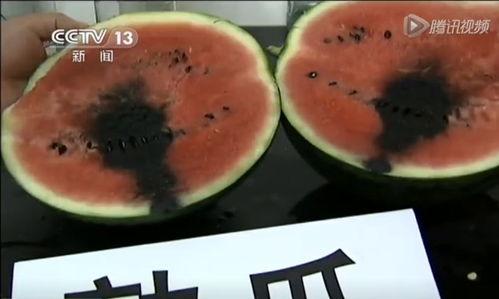 吃瓜里面有蛆怎么办视频,应对“吃瓜”中发现蛆虫的实用攻略