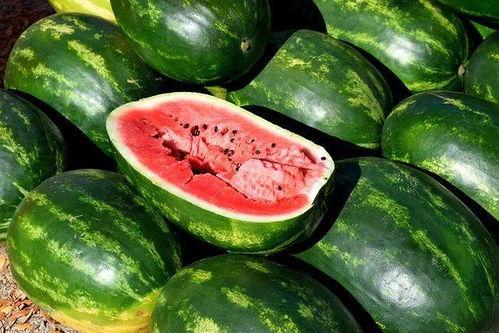 睢宁县吃瓜视频素材,揭秘当地特色美食与风土人情