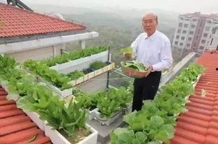 烟台楼顶吃瓜事件视频,烟台高空现象引发网友热议