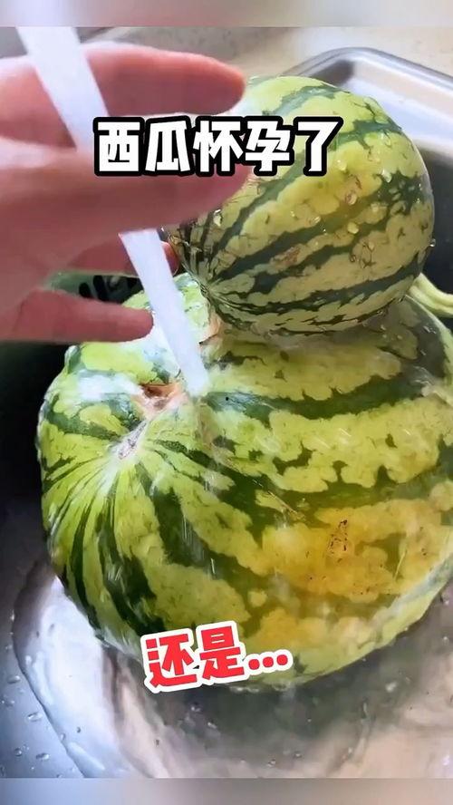 盘点那些吃瓜搞笑视频