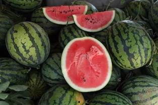 一元钱吃瓜视频,短视频带你体验平民价位的夏日清凉